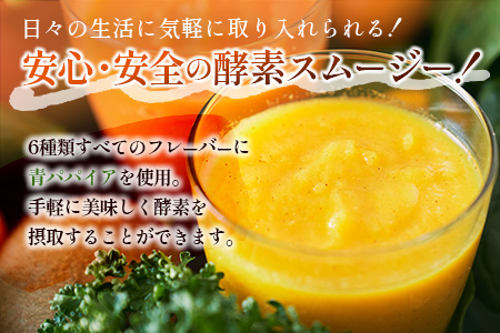 「南国酵素スムージー12本セット」200ml×12本セット　野菜・果実ミックスジュース　青パパイア　果物　フルーツ　飲料　健康　栄養【C379】