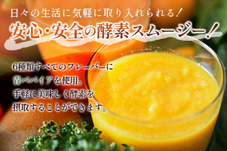 「定期便12か月コース」南国酵素スムージー　200ml×6本セット×12回　 野菜・果実ミックスジュース　青パパイア　果物　フルーツ　飲料　健康　栄養【F108】