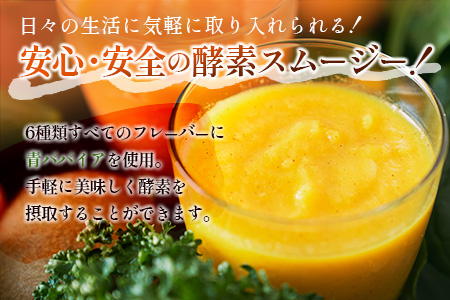 「定期便12か月コース」南国酵素スムージー　200ml×12本セット×12回　 野菜・果実ミックスジュース　青パパイア　果物　フルーツ　飲料　健康　栄養【F110】