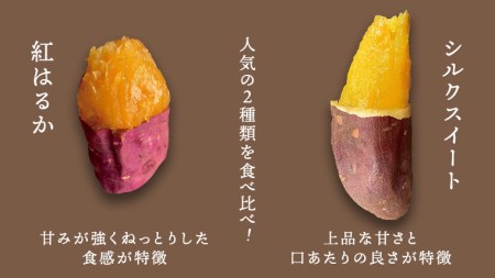 先行予約 2025年1月以降発送 】 oimo_tokyo 深緑 の 特別パッケージ