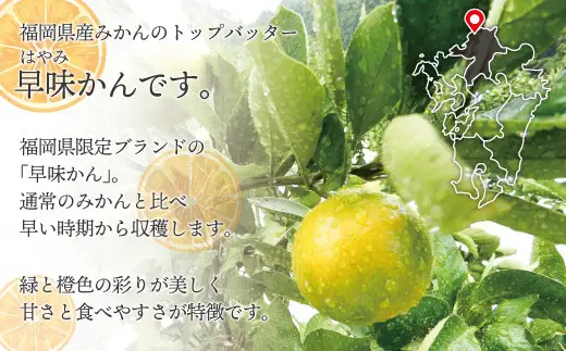 【2026年9月中旬より順次発送】JAむなかたブランドみかん（早味かん）約3kg[H2280]