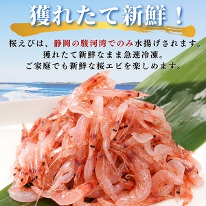 a10-679　焼津特選 生桜えび100g×3