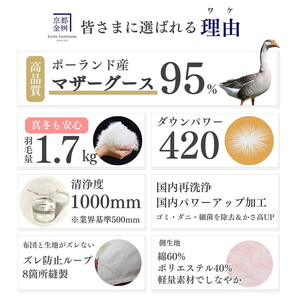 羽毛布団 ダブル ポーランド産マザーホワイトグースダウン95％ 布団 ロワーレ