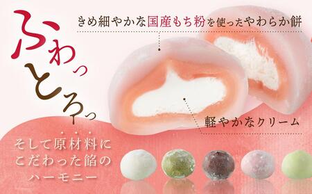 やわらかクリーム大福 5種28個 | 大福 訳あり 和菓子 スイーツ サカイ食品 GC001