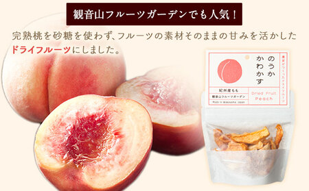 観音山ドライフルーツ（桃）30g1個 有限会社柑香園 《30日以内に出荷予定(土日祝除く)》 和歌山県 紀の川市 フルーツ 果物 桃 もも ドライフルーツ 送料無料