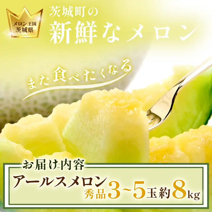 015 アールスメロン 秀品 約8kg 3～5玉 茨城県 JA水戸産 めろん 果物