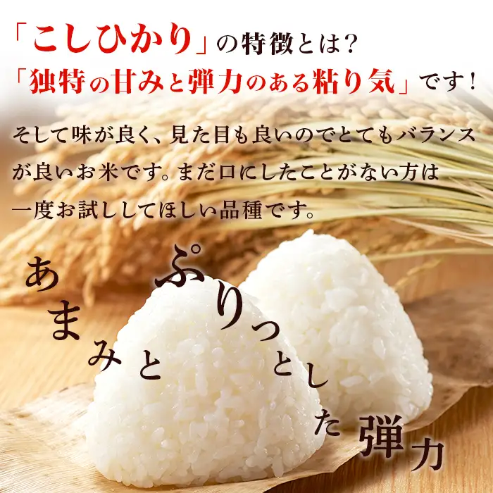 168【令和7年産】茨城町産 こしひかり 5kg【野口ライス】