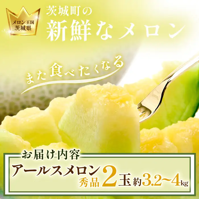 177 アールスメロン 秀品 2玉 約3.2kg～4kg 茨城県 JA水戸産 めろん 果物 フルーツ