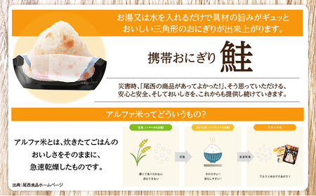 保存食 おにぎり 鮭50個入 非常食 保存食 尾西食品 