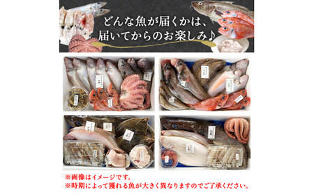 鮮魚 詰め合わせ 2～3kg（4～5種）下処理済み 魚 宮城県産