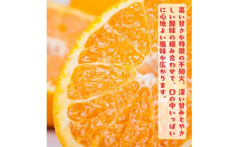 有田育ちの濃厚 不知火 ( デコポン と同品種)( 訳あり 家庭用 )  2kg+200g(痛み補償分) ※2027年1月下旬～3月下旬に順次発送【ard020C】