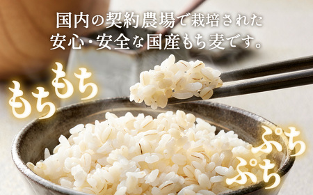 国産もち麦6kg《1kg×6個セット》雑穀 お米に混ぜて炊くだけ！便利なチャック付 小分けパック ダイエット 食物繊維  送料無料 No.029