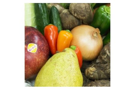 イーハトーヴ野菜A お試しセット 6品～【029】