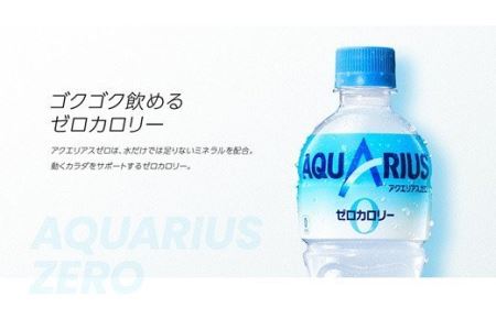 ゼロカロリーで熱中症対策におすすめ！アクエリアスゼロ2Lペットボトル×6本 【655】