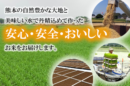 令和7年産  森のくまさん 10kg 株式会社羽根《60日以内に出荷予定(土日祝除く)》熊本県産 白米 精米 森くま もりくま 米