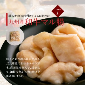 ぶどうの樹　もつ鍋　てっちゃん風　国産牛ロース付き【2～4人前】_KG0104