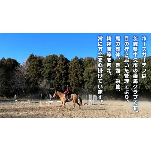 乗馬体験１回コース