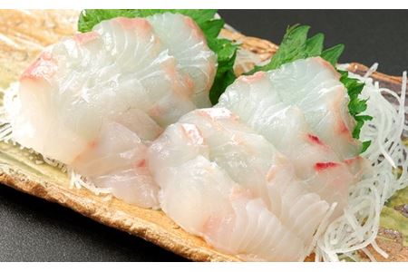 新鮮！ヒラメの姿造り(4~6人前)〈天塩の國〉