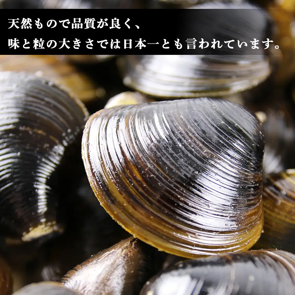 天塩町名産冷凍しじみ［特大サイズ］（700g）2パック入り＜北るもい漁業協同組合 天塩支所＞