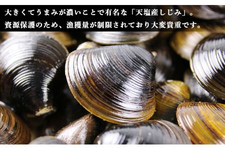 天塩町名産ボイルしじみ「使いやすい150gパック」10袋＜北るもい漁業協同組合 天塩支所＞