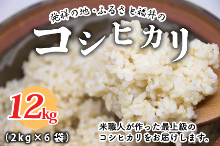 【令和7年産】特別栽培米 コシヒカリ匠 12kg (2kg × 6袋)（玄米）栽培期間中農薬不使用 / コシヒカリ こしひかり 白米 お米 [F-2926_02]