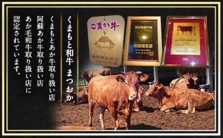 くまもと あか牛 ハンバーグ 150g×5個 計750g 牛肉 100%