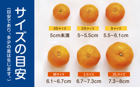 ※【2026年10月下旬より順次発送／先行予約】伊木力みかん(家庭用) 10kg / みかん ミカン 蜜柑 オレンジ フルーツ 果物 柑橘 / 諫早市 / 山野果樹園 [AHCF001]