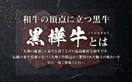くまもと黒毛和牛 杉本本店 黒樺牛 A4~A5等級 モモステーキ 100g×6 計600g
