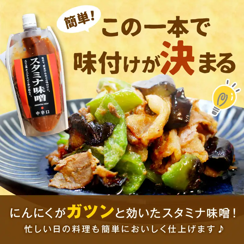 味付け簡単！特製味噌ダレ「スタミナ味噌」【6カ月定期便】【A5-246】