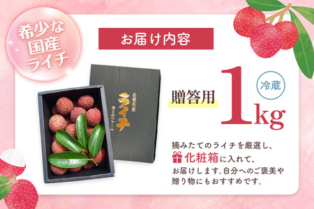 【先行受付】佐賀県産ライチ 1kg(贈答用) K060010