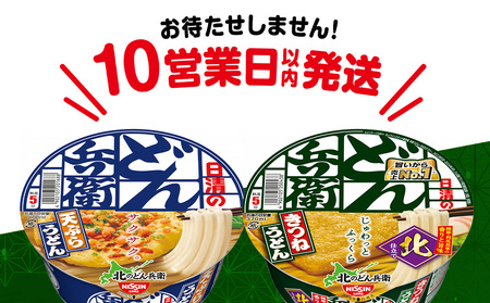 日清 北のどん兵衛 うどんセット＜天ぷら・きつね＞各1箱・合計2箱