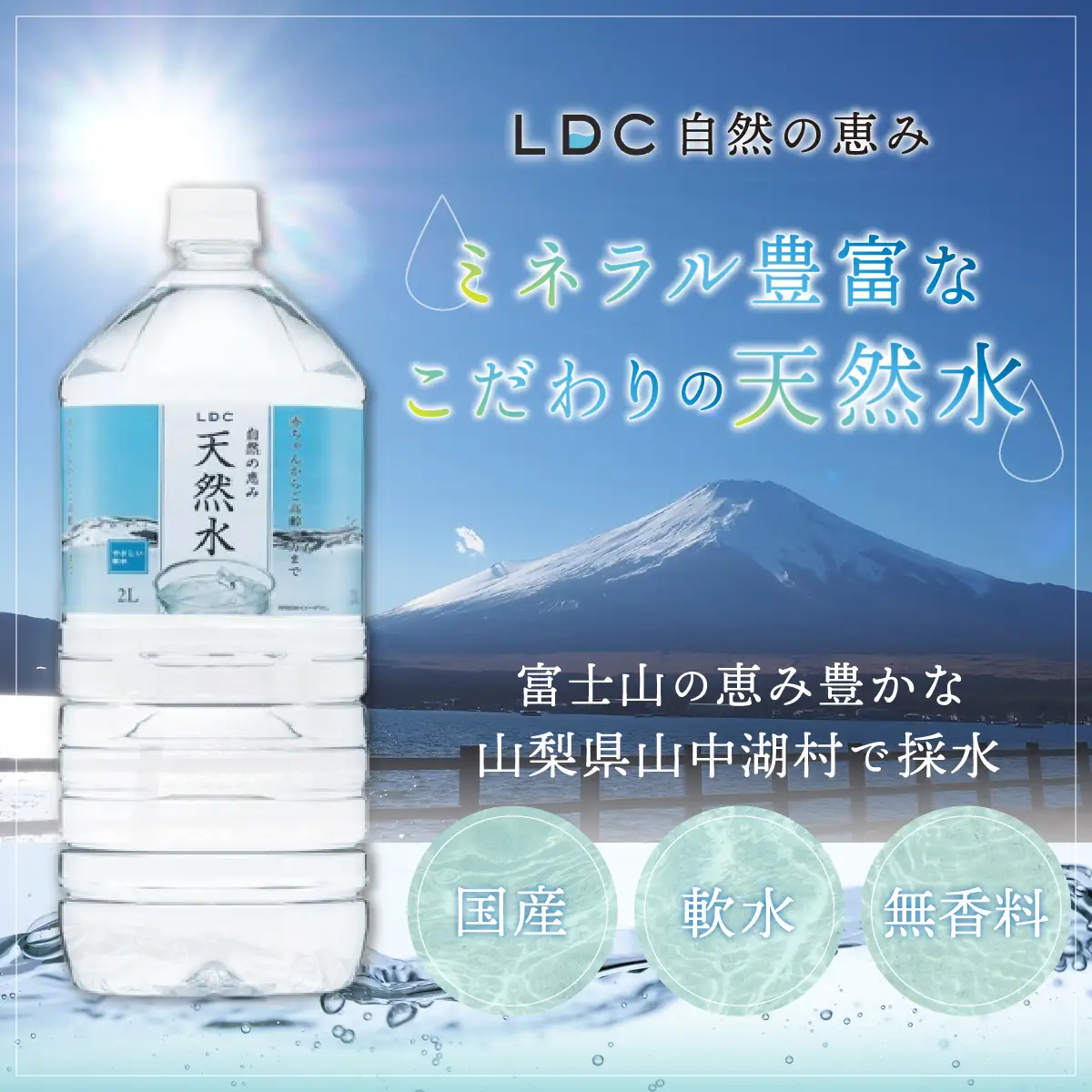 【12カ月定期便】自然の恵み天然水　2L×24本（6本入り4ケース）　計48L　を12カ月連続でお届け　※沖縄・離島配送不可