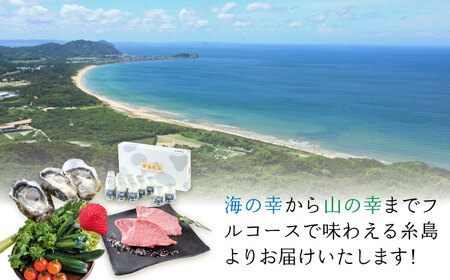 【 糸島 コンシェルジュ 】 返礼品 おまかせ ！ 寄附額 100万円 コース [AZZ002] 後から選べる あとからギフト あとからセレクト
