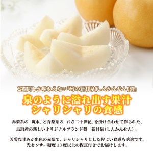 DS-16　新甘泉梨 5kg（赤秀限定）