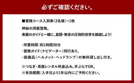 【日本三大鍾乳洞】龍河洞 冒険コース 《ペア入洞券》 チケット 体験 冒険 鍾乳洞 洞窟 地下 観光 歴史 自然