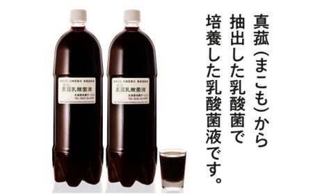 No.103 真菰（まこも）乳酸菌液　1.5L×2本【n0103_nyu】