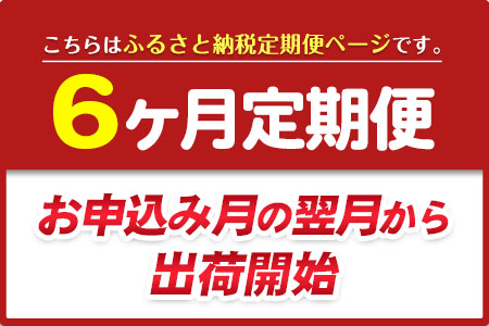★6ヶ月定期便★ 仏様花2束《お申込み翌月から出荷》椿原園 初回のみ 花瓶付き お花 花 お仏壇用 お供えおすすめ花 花の贈り物 花のギフト フローリストがつくる花ギフト 