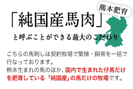 手作りハン馬ーグ 100g×10個 馬肉100%配合！【熊本肥育】ハンバーグ たっぷり 冷凍 お中元 肉 お手軽 お取り寄せ《30日以内に出荷予定(土日祝除く)》 美味しいハンバーグ ジューシーハンバーグ 冷凍ハンバーグ おかずハンバーグ
