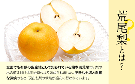 梨 荒尾梨 約4kg 旬の品種 熊本県産 なし 幸水梨 豊水梨 あきづき 新高梨 甘太 新興梨 あたご梨 秋麗【着日指定不可】《2026年8月下旬‐11月中旬頃出荷》フルーツ 果物