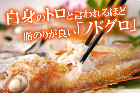 しまねの贅沢三昧！のどぐろ・甘鯛・穴子一夜干し【干物セット のどぐろ干物 200～260g×2尾 甘鯛干物 326～350g×1尾 穴子干物 50cm前後×2尾 干物 無添加 真空パック 父の日 母の日】