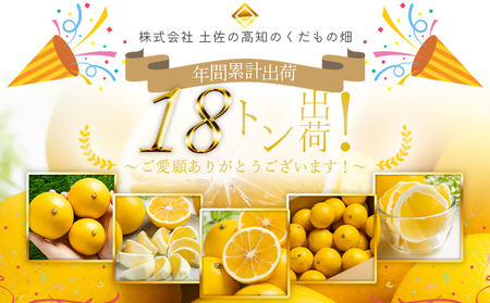 【2026年出荷分】ハウス小夏(日向夏) 5kg(ギフト用) フルーツ kd-0032