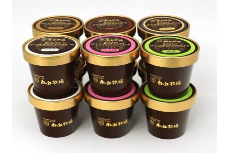 南ヶ丘牧場 アイスクリーム12個セット スイーツ アイス 高級アイス 詰め合わせ 乳牛 冷凍 那須町〔P-132〕