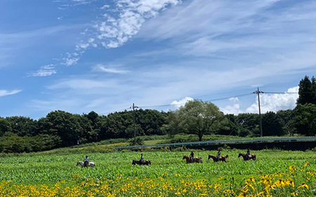 那須高原を馬とめぐる2時間のホーストレッキング 外乗ペア利用券【平日限定】チケット 利用券 ペア 体験 乗馬 初心者歓迎〔P-100〕