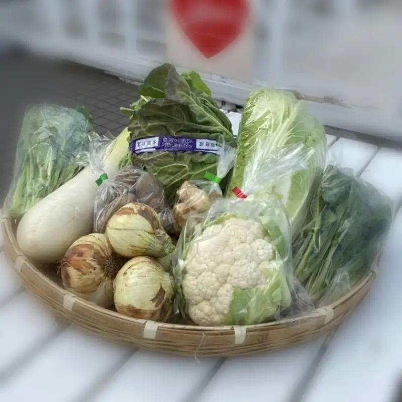 直売所の泉南産旬野菜セット詰め合わせ 100サイズ箱【015E-009】