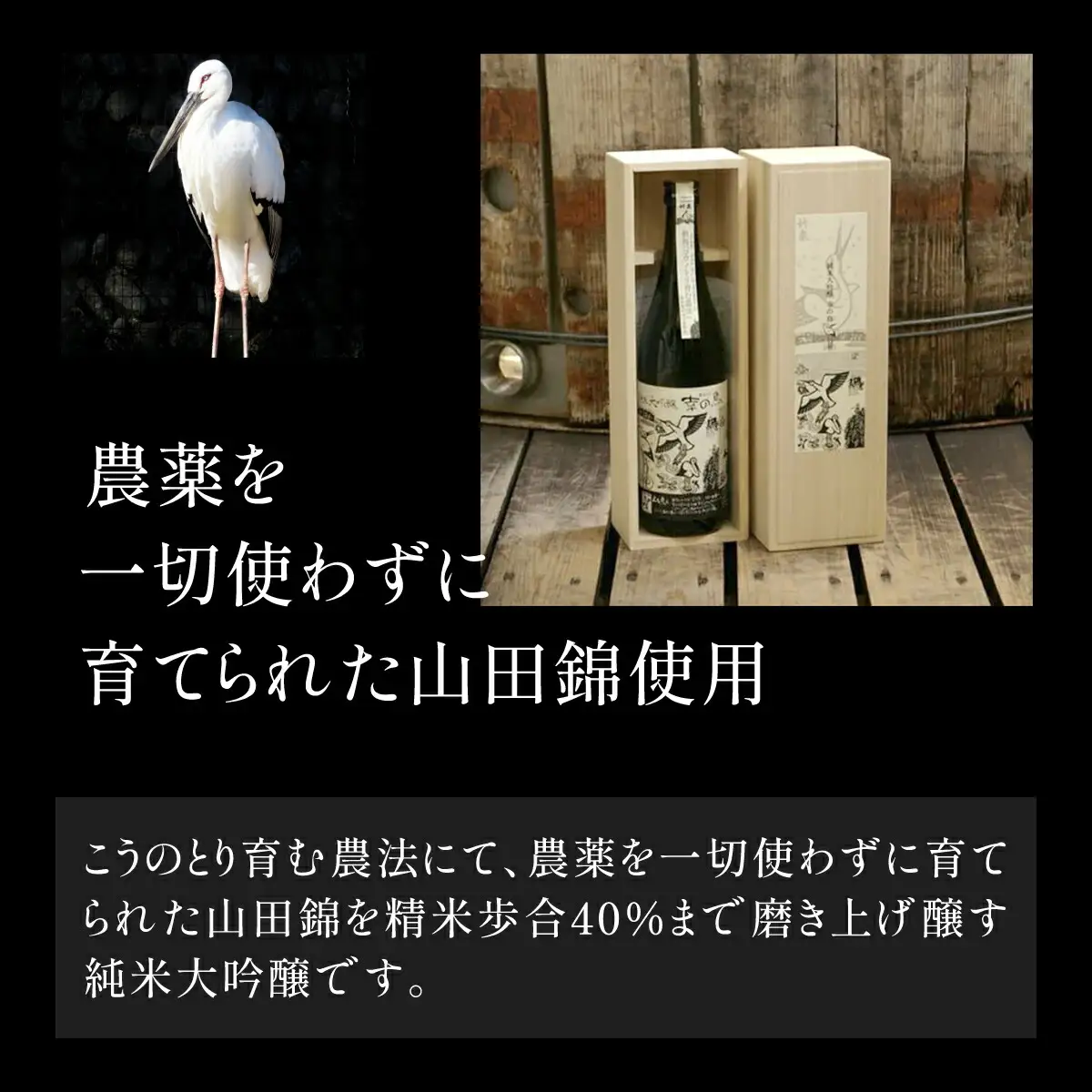 竹泉 純米大吟醸『幸の鳥（こうのとり）』 日本酒 地酒 酒 さけ お酒 おさけ 純米酒 純米大吟醸 大吟醸 山田錦 田治米合同会社 兵庫県 朝来市 AS1CA6