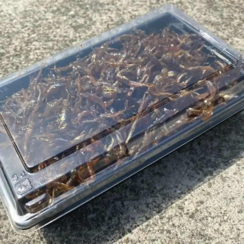 魚屋 おかみ 手作り いかなご くぎ煮 魚 イカナゴ いかなごのくぎ煮 くぎ煮 佃煮 手作り ご飯のお供 食品 小魚 魚屋 カルシウム ふるさと納税【015D-015】