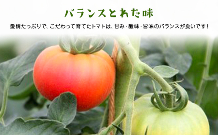 ＼数量限定／ 坪井農園の厳選！こだわりトマト（12～15個入り） 期間限定 限定 トマト とまと 期間限定 人気 桃太郎 桃太郎トマト 桃太郎トマト 美味しい おいしい 夏野菜 野菜 兵庫県 朝来市 AS2BB4