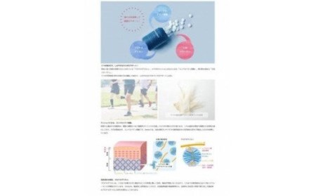 Umino フカ・コンドロイチンプラス 250mg×約120錠 計30g [石渡商店 宮城県 気仙沼市 20563670]