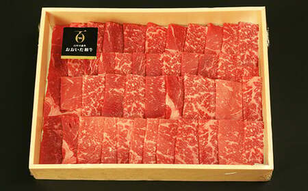 おおいた和牛もも焼肉用 600g＜123-001＞