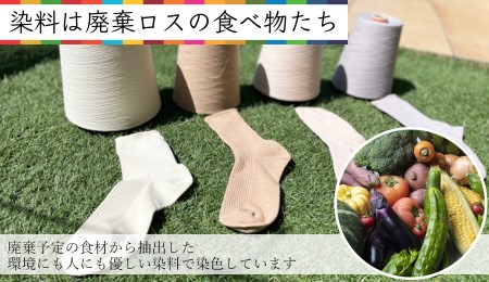 靴下屋さんのSDGs 土に還る捨てない靴下 ZERO SOCKS（メンズ 25～27cm）/ オーガニックコットン 2足（ブラウン・ブルーベリー)///靴下 くつした くつ下 ソックス 足元 シンプル カジュアル おしゃれ かわいい 消臭 履き心地 日常 通年 プレゼント 贈り物 日本製 奈良県 広陵町